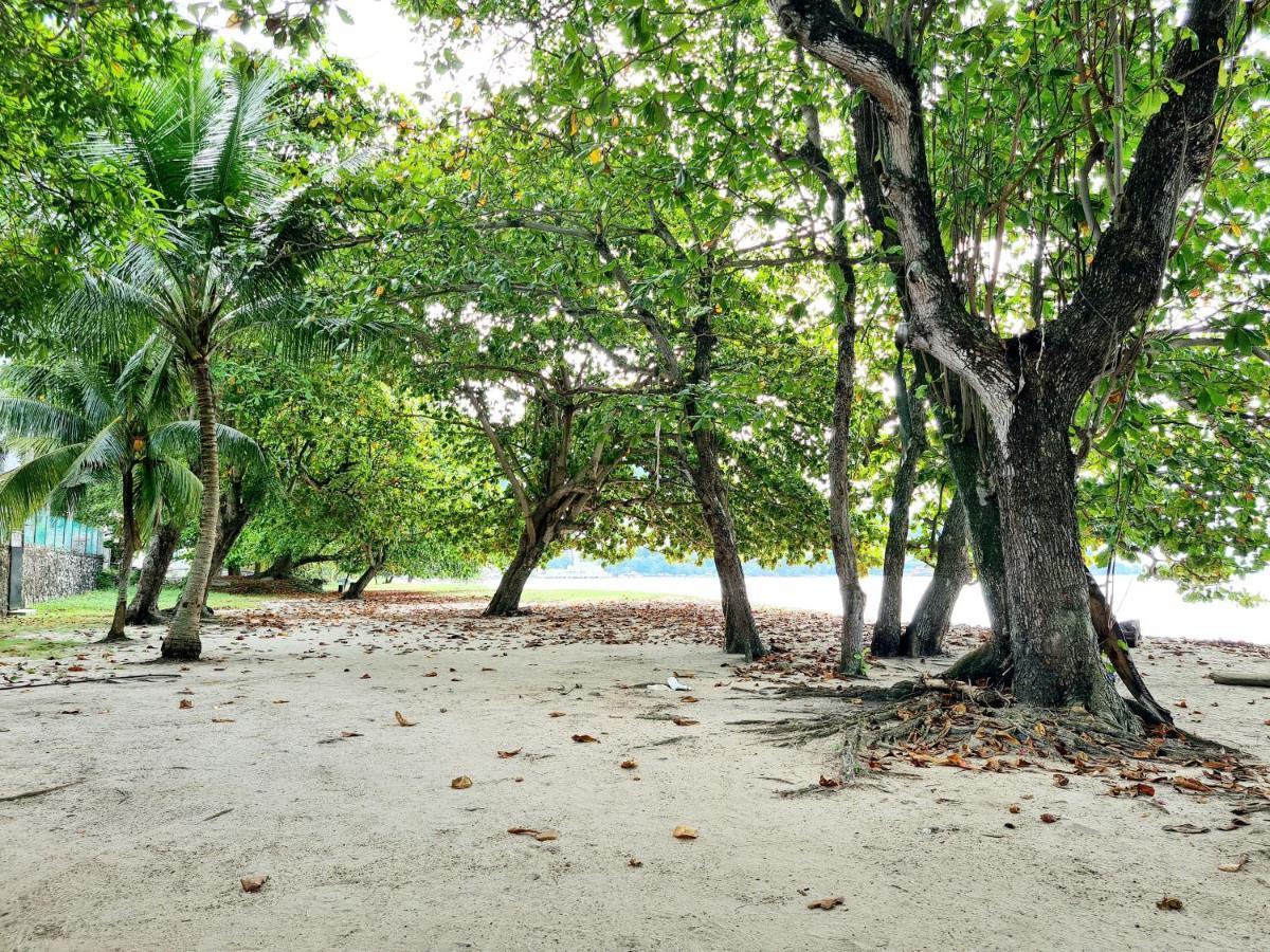 527 Beachhouse L 5 Bedroom With Swimming Pool - 3Min Walk To The Beach Tanjung Bungah  Exteriér fotografie